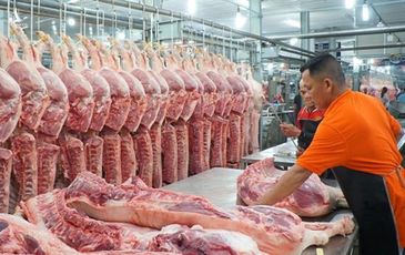 Thịt lợn nhập khẩu ồ ạt về Việt Nam
