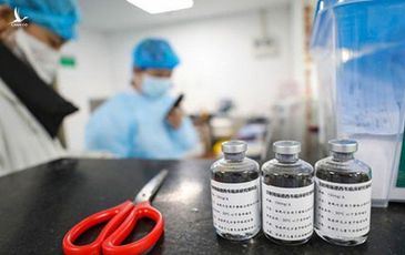 Vắc-xin phòng ngừa Covid-19 có thể ra lò vào tháng 9