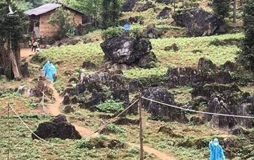 Tôi đã khóc khi xem những tấm hình này, bạn thì sao?