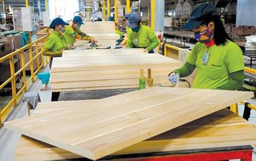 Vượt dịch Covid-19, thế mạnh Việt thu về 2,6 tỷ USD