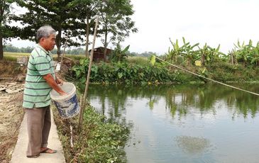 Cựu lính đặc công vươn lên làm giàu trên mảnh đất quê hương