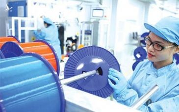 Kinh tế Việt Nam bắt đầu khởi sắc trở lại