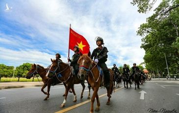 Chớ trông vóc ngựa mà phán bừa, nhỏ mà có võ đấy! 