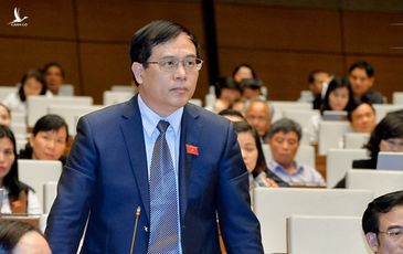 Đại biểu Quốc hội mong có điều thần kỳ trong kinh tế như chống dịch COVID-19