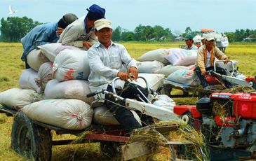 Sắp tới lái máy cày cũng phải có bằng