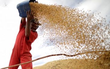 Chỉ trích Mỹ mạnh mẽ, nhưng hành động của Trung Quốc cho thấy điều khác?