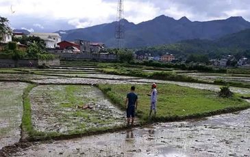 Nghi thảm án ở Điện Biên, 3 người tử vong