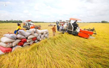 Việt Nam phấn đấu vào top 15 nước nông nghiệp phát triển nhất thế giới