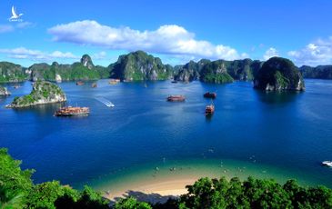 Reuters: Du lịch Việt Nam hồi phục nhanh hơn New Zealand