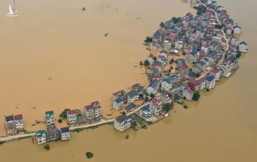 Bức thư kêu gọi cứu đê tiết lộ điều gây sốc về nông thôn TQ