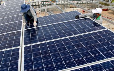 Dân bỏ tiền lắp điện mặt trời cho trang trại lo mất hàng tỷ đồng