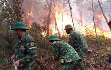 Hàng trăm người căng mình chữa cháy rừng ở Nghệ An