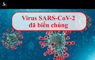 Biến chủng của virus Sars-Cov-2 ở Đà Nẵng có bất thường không?