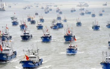 Vét sạch mực ở biển Nam Mỹ, Bắc Kinh áp đặt luôn ‘lệnh cấm đánh bắt’