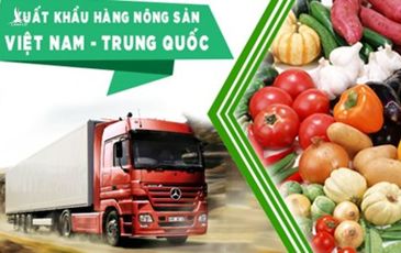 Có nên “bài Trung, thoát Trung”?