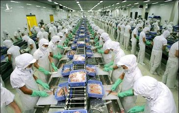 Nông sản Việt Nam cần cải cách “quy trình” sản xuất để vào thị trường lớn