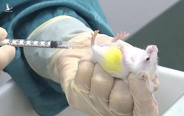 Thử nghiệm thành công, Việt Nam sẽ sản xuất vaccine COVID-19 vào năm 2021