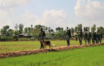 Ngăn chặn hàng trăm đối tượng xuất, nhập cảnh trái phép vào An Giang