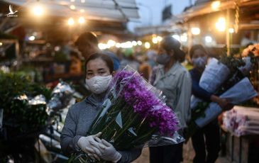 Lưu manh giả danh trí thức