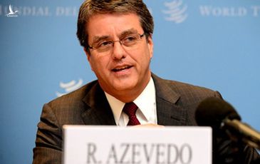 Tổng Giám đốc WTO Roberto Azevedo chính thức tuyên bố từ chức