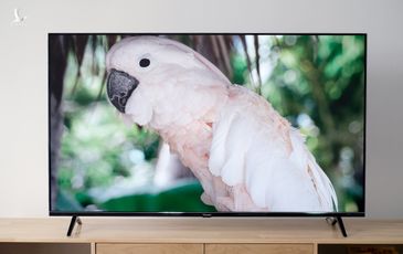 VinSmart bán 500 TV trong ba ngày