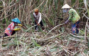 ‘Phù phép’ hồ sơ đất làm thất thu ngân sách gần 24 tỉ đồng