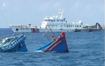 11 ngư dân Ninh Thuận đánh bắt cá ở Vịnh Bắc Bộ bị phía Trung Quốc bắt giữ