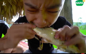 Kinh hãi nhóm thanh niên ăn sống cá to bằng bắp chân
