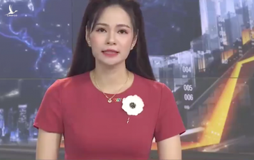 VTV xin lỗi vì nói người bán hàng rong là ‘sống ký sinh trùng’