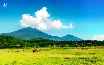 Làm thế nào để có ‘mỡ nó rán nó’