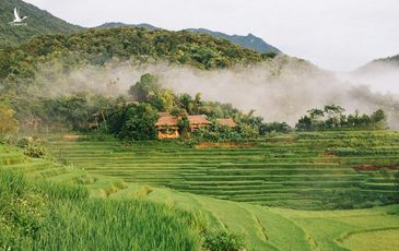 Tháng 9, đến Pù Luông ngắm lúa