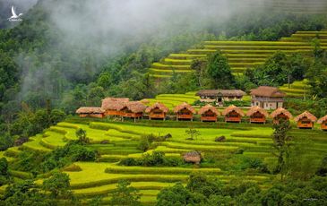 Các homestay Hà Giang cho chuyến ngắm mùa vàng Hoàng Su Phì