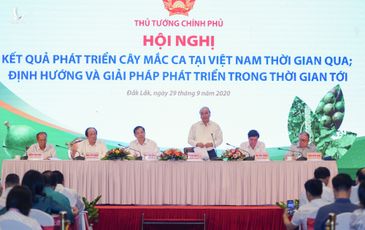 Thủ tướng Nguyễn Xuân Phúc nêu hàng loạt vấn đề về trồng và tiêu thụ mắc ca