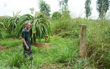 Mặt bằng đã có, chờ khởi công dự án đường cao tốc