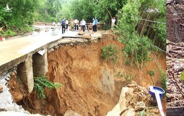 Miền Trung liên tục sạt lở đất: Thiên tai hay nhân tai?