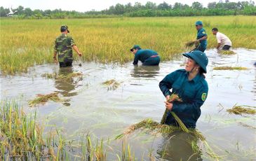 Tình nghĩa quân dân gắn bó như cá với nước