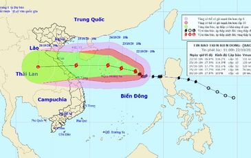 Bão số 8 đang đi chậm, sẽ suy yếu dần thành áp thấp nhiệt đới