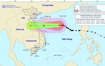 Bão số 8 giật cấp 13, đang cách quần đảo Hoàng Sa 160km