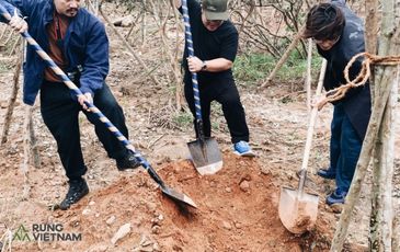 Hà Anh Tuấn khởi trồng 2 cánh rừng đầu tiên trong dự án ‘Rừng Việt Nam’