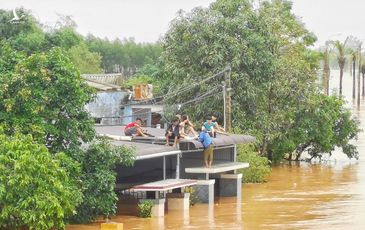 Quảng Trị: Người dân leo nóc nhà, kêu cứu cả đêm