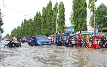 Miền Tây ‘chìm’ trong nước nhưng có nguy cơ hạn mặn khốc liệt