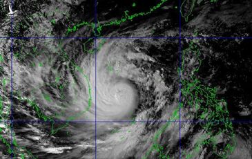 “Sức mạnh của bão số 9 có thể bốc một con thuyền lớn từ dưới biển lên đường”