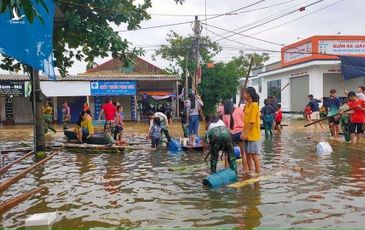 Tại sao “lá lành” lại đi giành với “lá rách”? 