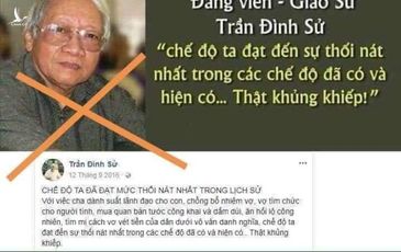 Về chuyện Giáo sư Trần Đình Sử “phản giáo”