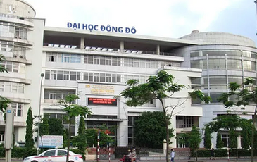 “Bằng giả” hóa “bằng thật”, chỉ tài năng, đạo đức vẫn là giả