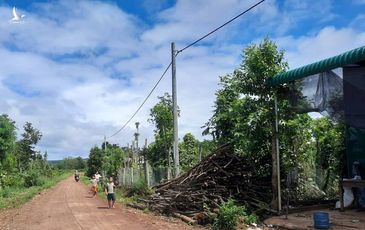 Dân “chết thèm” vì dây điện chạy trên đầu nhưng… không có điện!