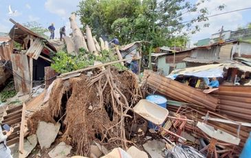 Mẹ ôm con trai chạy khỏi phòng trọ bị cây cổ thụ đè sập ở Sài Gòn