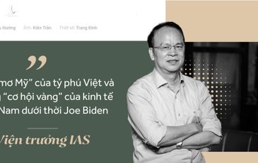 Viện trưởng VIAS: Cần vài chục công ty như Vingroup, Viettel… để nâng tầm kinh tế Việt Nam