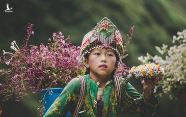 ‘Phát triển thiếu bền vững, Sa Pa đang mất dần vẻ đẹp vượt thời gian’