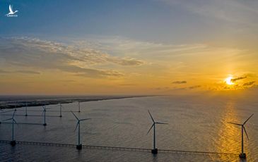‘Kéo dài ưu đãi giá sẽ gây tổn hại đến ngành điện gió Việt Nam’